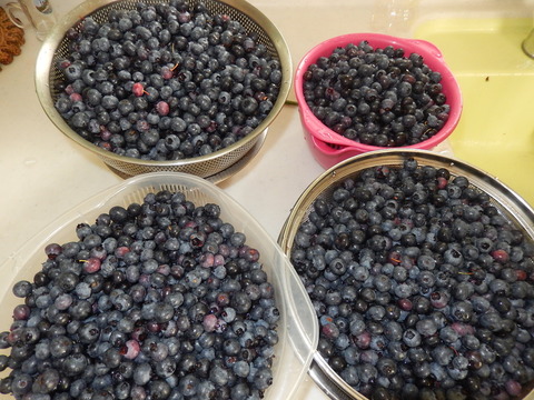 DSCN5051