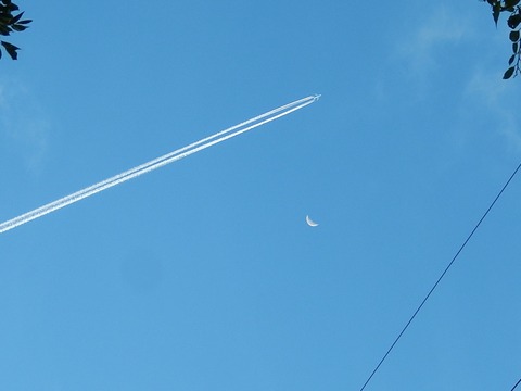 DSCN8573 (2)