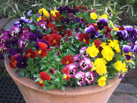 DSCF0073