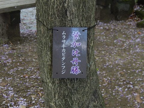 DSCN2989