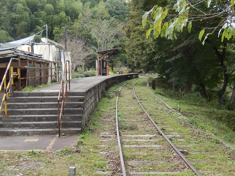 DSCN9811