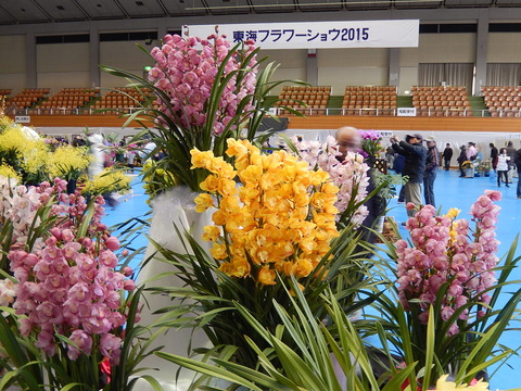 DSCN1507