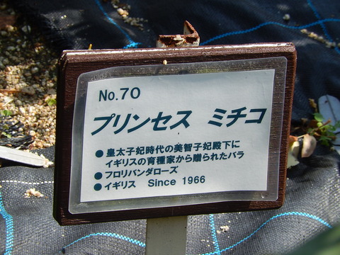 DSCN1847