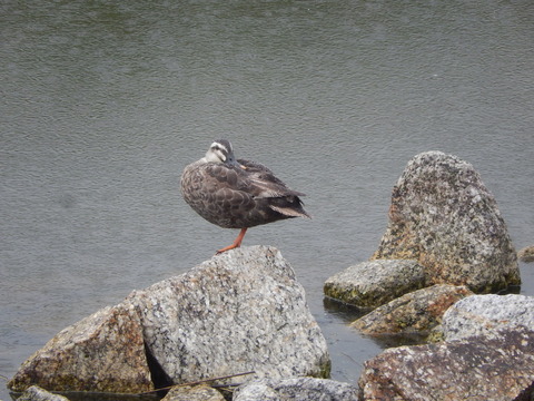 DSCN7719