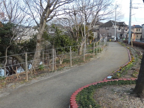 DSCN1646