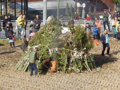 DSCN0036