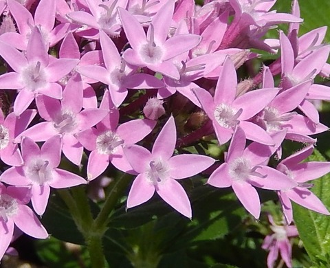 DSCN3870 (2)