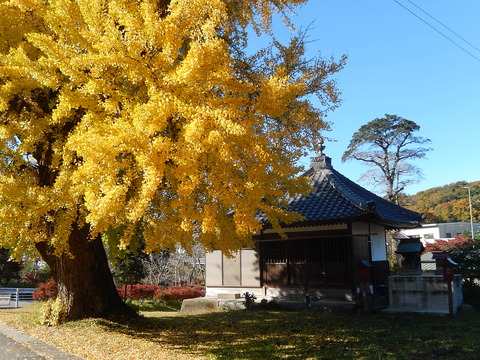 DSCN8060