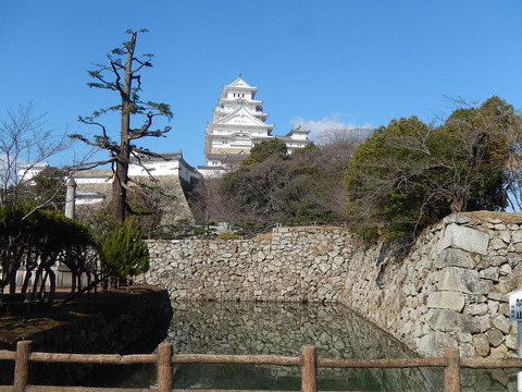 DSCN1237