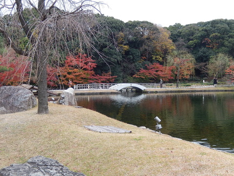 DSCN0682