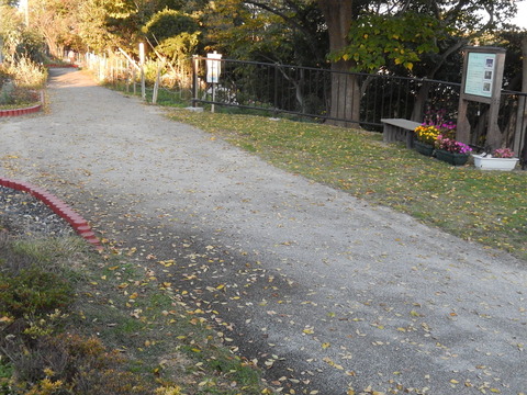 DSCN8541
