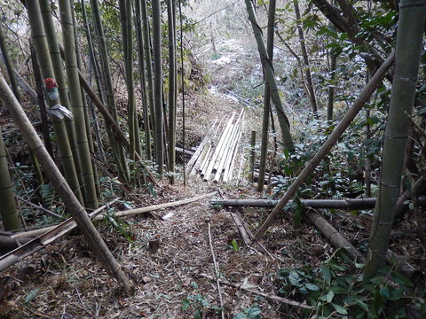 DSCN0078