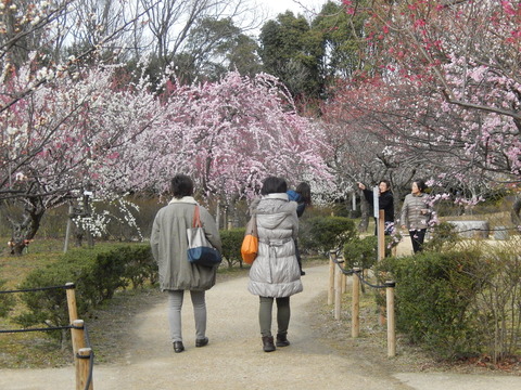DSCN8899
