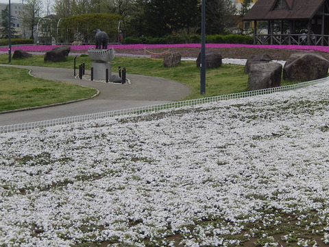 DSCN0338