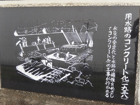 DSCN9048