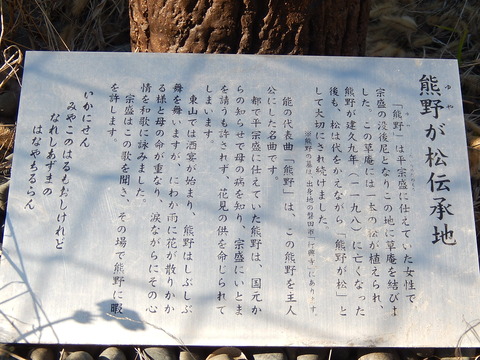 DSCN8951