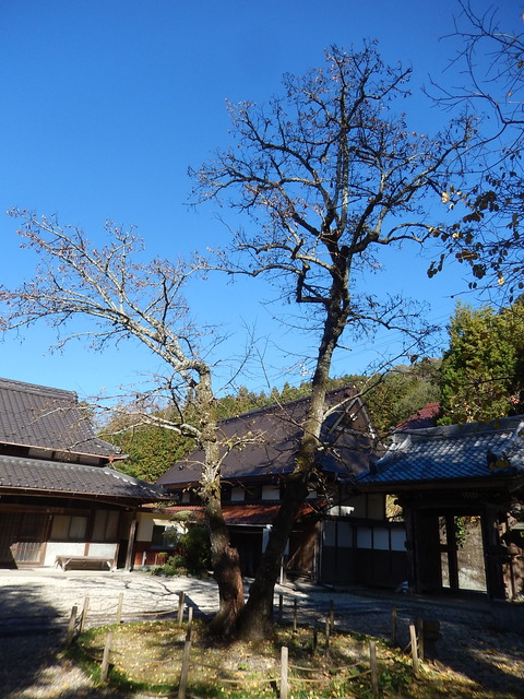 DSCN9615
