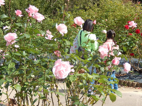 DSCN7797