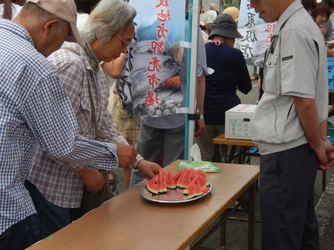 DSCN4226
