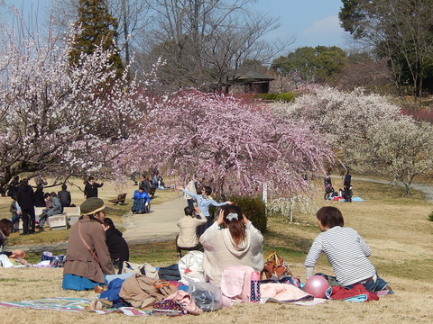 DSCN1422