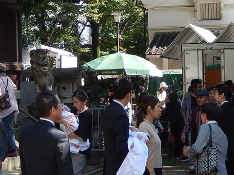 DSCN9609 (2)
