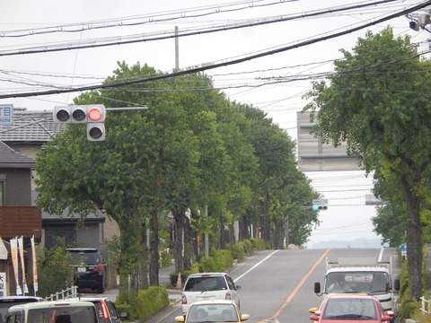 DSCN6289