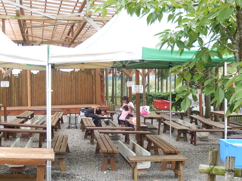 DSCN4198