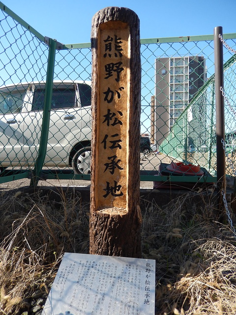DSCN8955