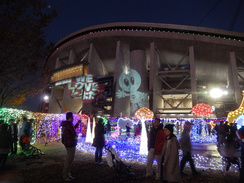 DSCN8656