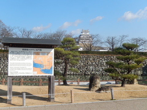 DSCN1184