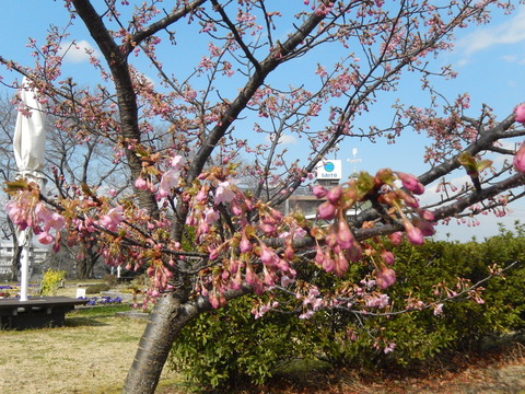 DSCN8832
