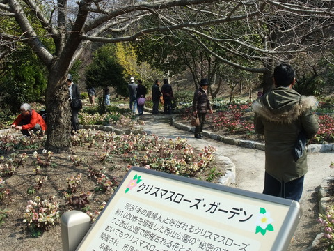 DSCF0026
