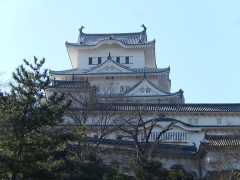 DSCN1256