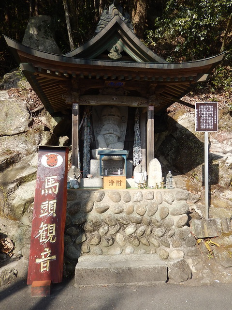 DSCN0781