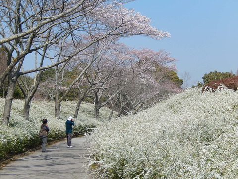 DSCN9850
