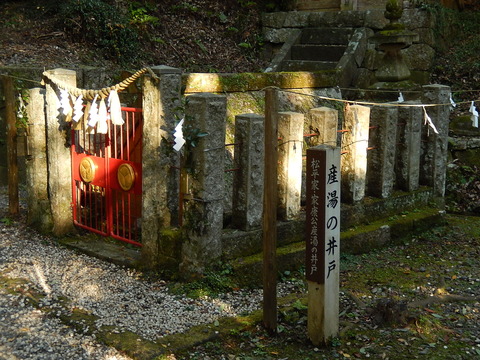 DSCN9769