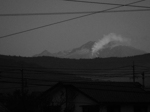 DSCN8449 (2)