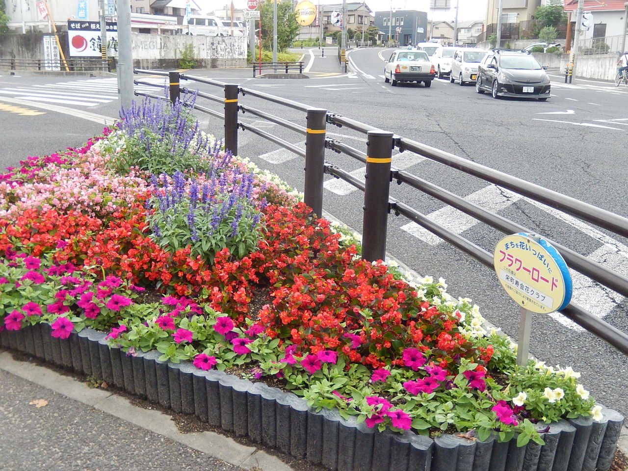 豊田市フラワーロード 八草ルート やつば池散歩道 豊田市 のブログ