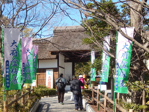 DSCN0932