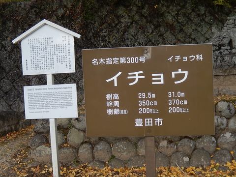 DSCN8247