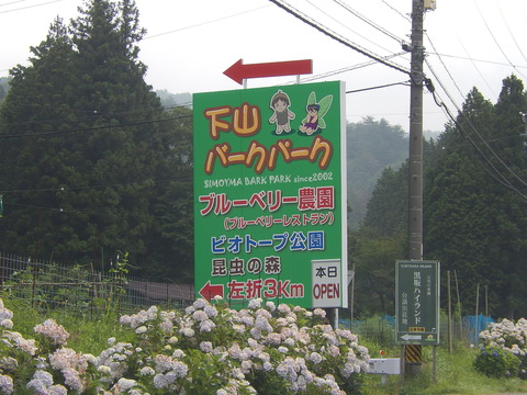 DSCN4191