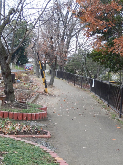 DSCN9314