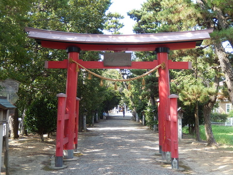 DSCN8354