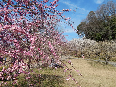 DSCN2305
