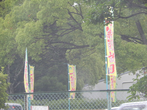 DSCN4836