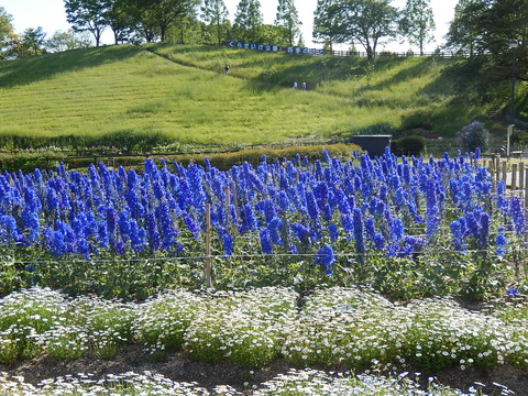 DSCN2146