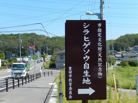 DSCN6023