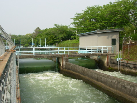 DSCN8311