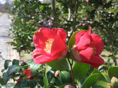 DSCF0020