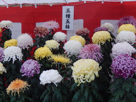 DSCN8328